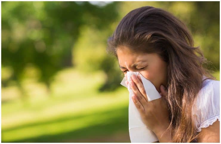 allergies-spiritual-meaning-causes-insight-state