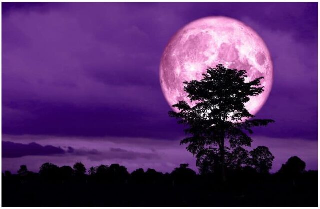 Spiritual Meaning Of Pink Full Moon - Insight state