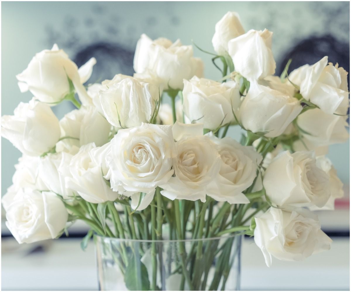  Spiritual Meaning Of White Roses Dream Interpretation Insight State