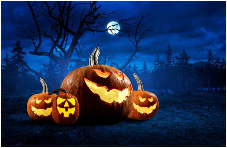 55 Halloween Quotes To Get You In The Holiday Spirit - Insight state