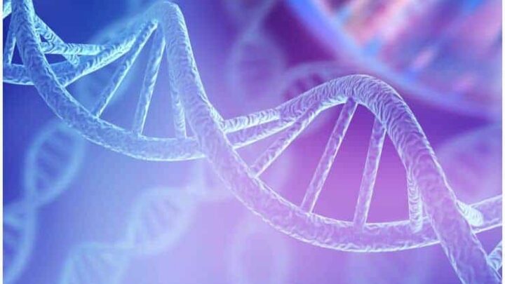 DNA Testing What It Promises Now and in the Future