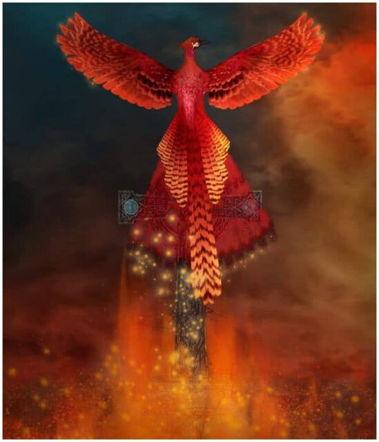 spiritual-meaning-of-the-phoenix-bird-legends-myths-insight-state