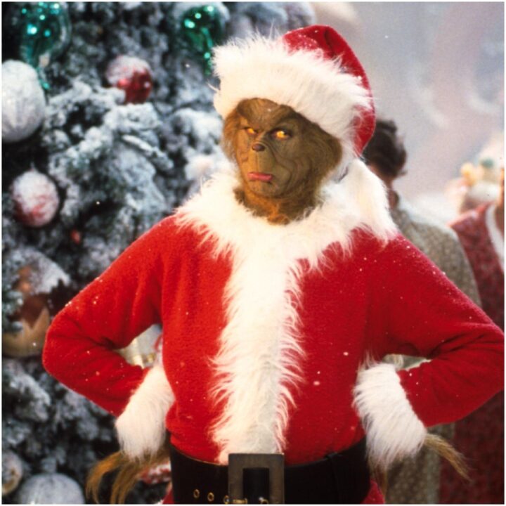 33 Quotes From How The Grinch Stole Christmas! - Insight State