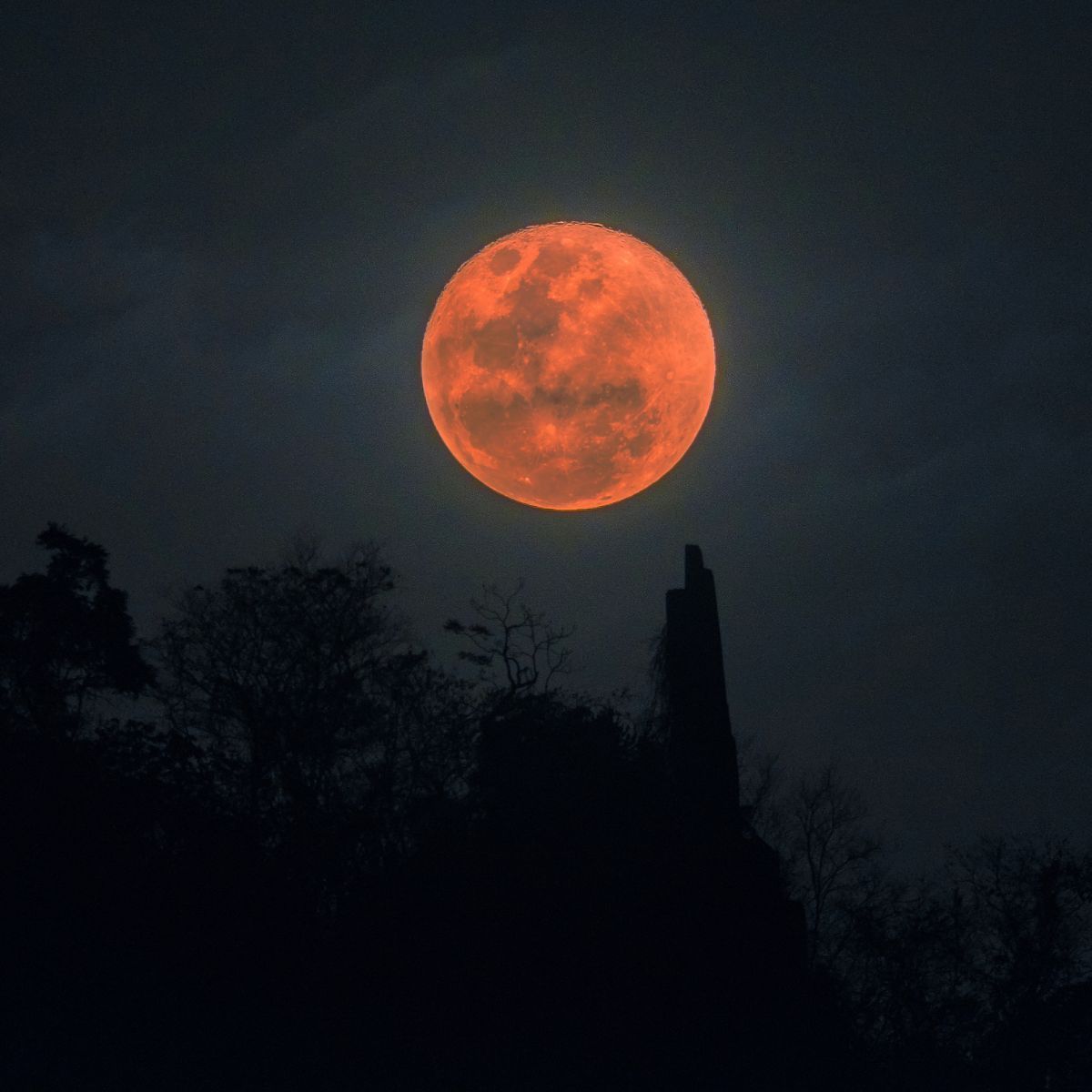 Кровавая луна почему. Лунное затмение Кровавая Луна. Суперлуние 3 июля 2023 года. Кровавая Луна явление. Eclipse Moon 2019.