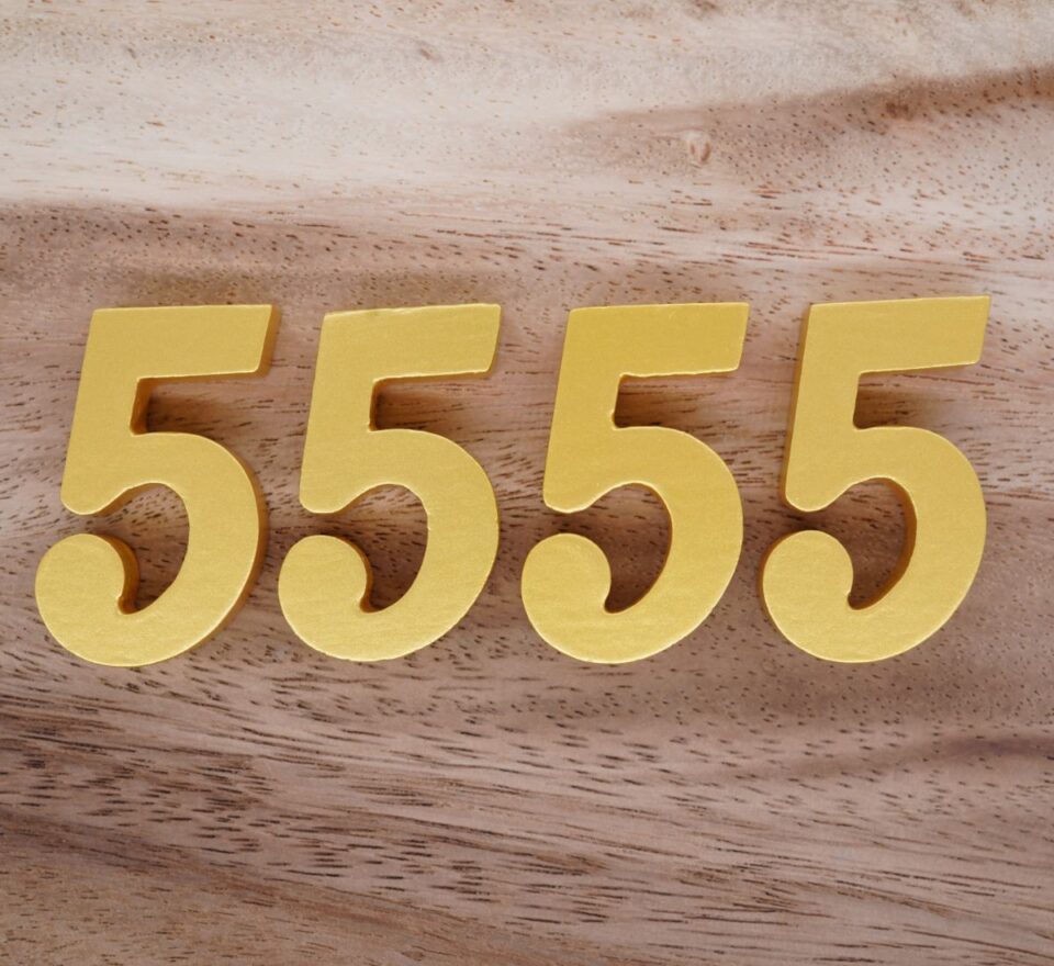 5555 Angel Number Meaning For Twin Flames Insight State