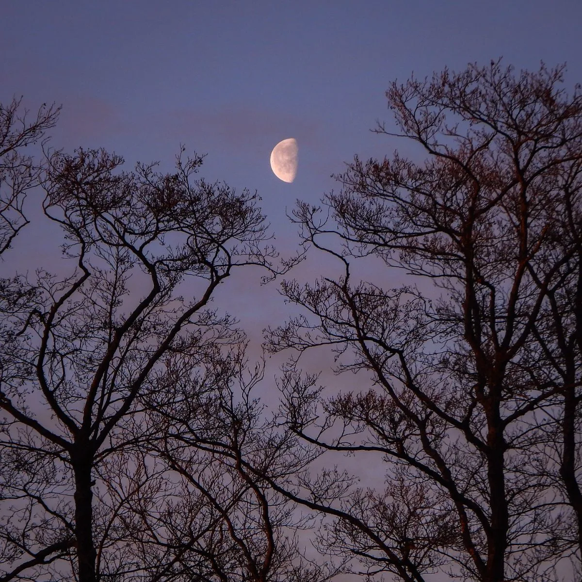 Waning Gibbous Moon Spiritual Meaning