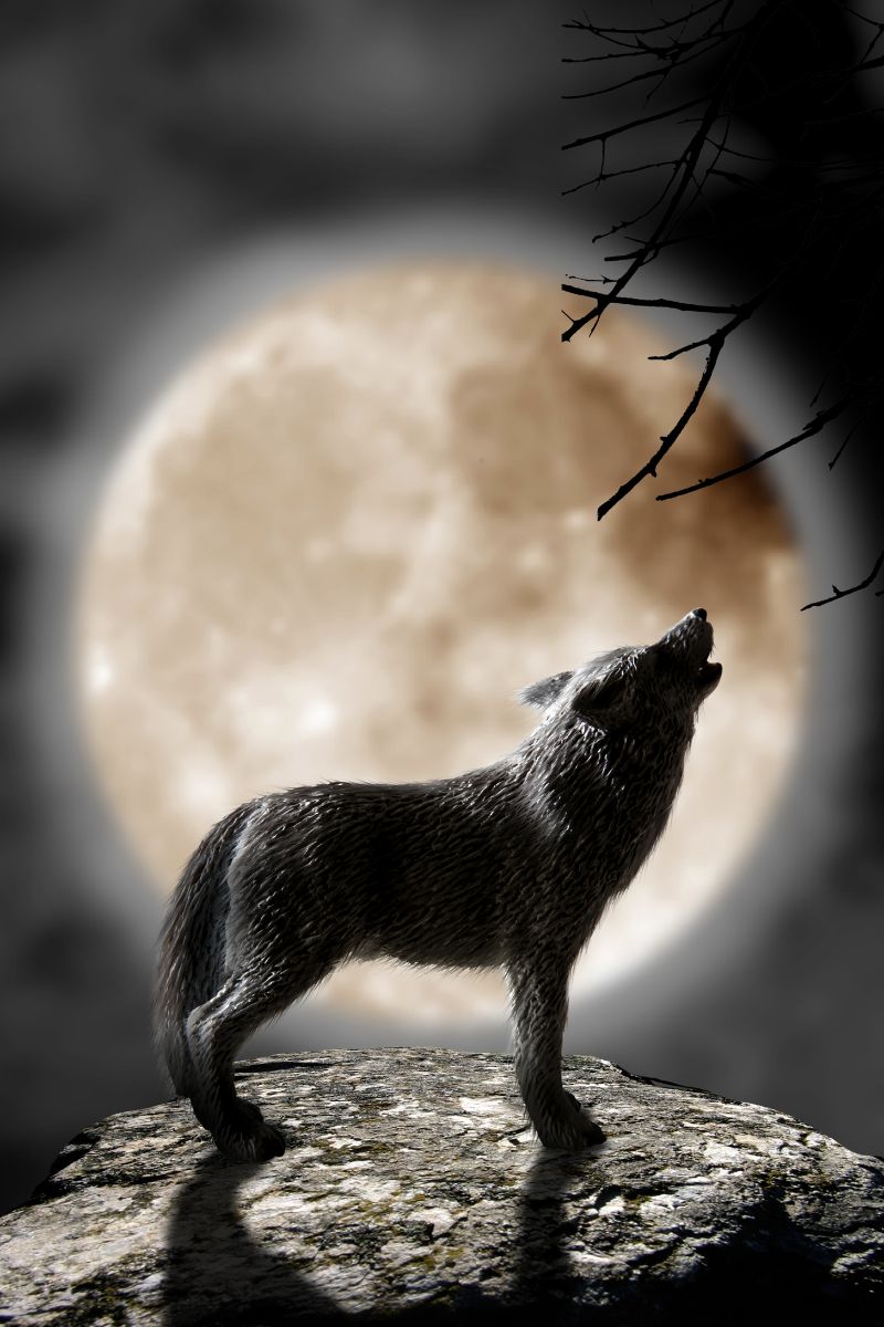 Full Moon Spiritual Meaning