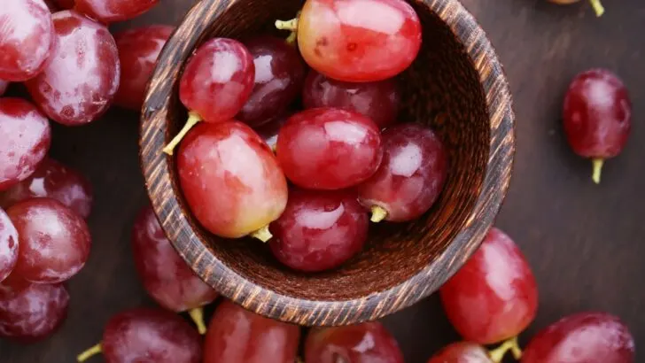 What Do Grapes Represent Spiritually?